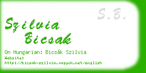 szilvia bicsak business card